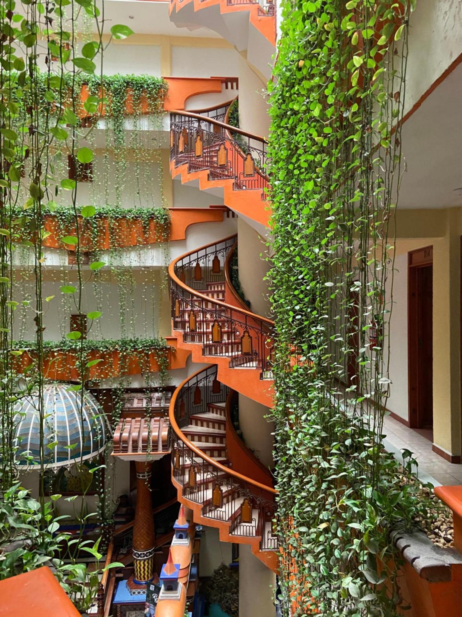 Hotel Baez Carrizal فيلاهيرموسا المظهر الخارجي الصورة