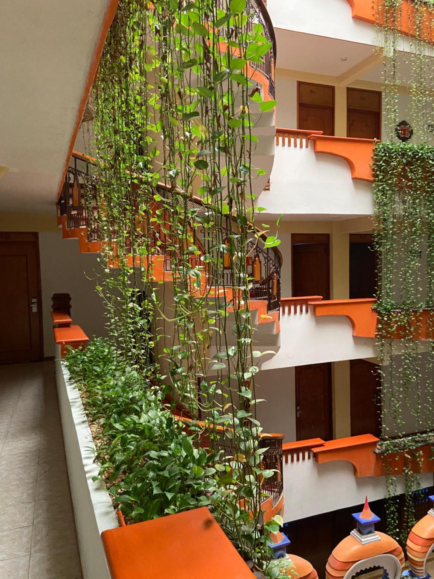 Hotel Baez Carrizal فيلاهيرموسا المظهر الخارجي الصورة